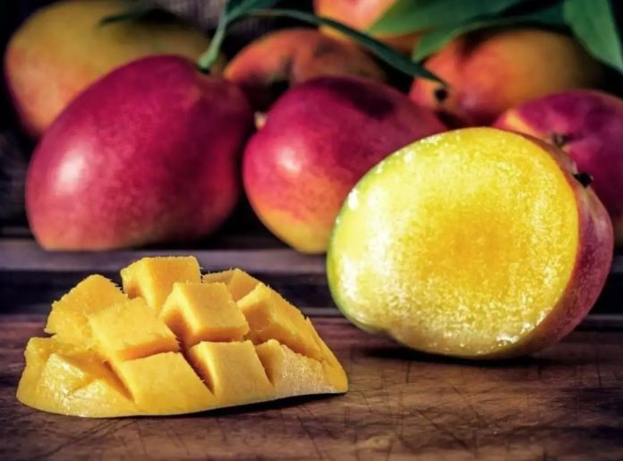 beneficios del mango para la salud beneficios del mango para la salud