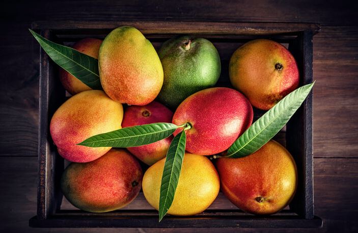 beneficios mango en ayunas beneficios mango en ayunas