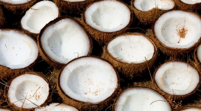 beneficios del coco para la salud