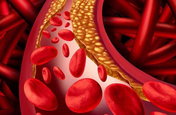 beneficios del pimiento verde beneficios del pimiento verde