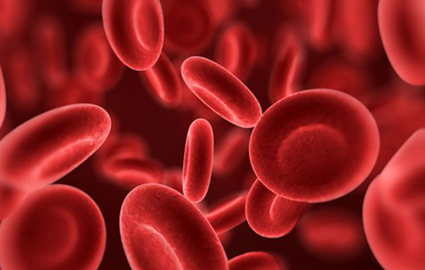 beneficios del pimiento verde beneficios del pimiento verde