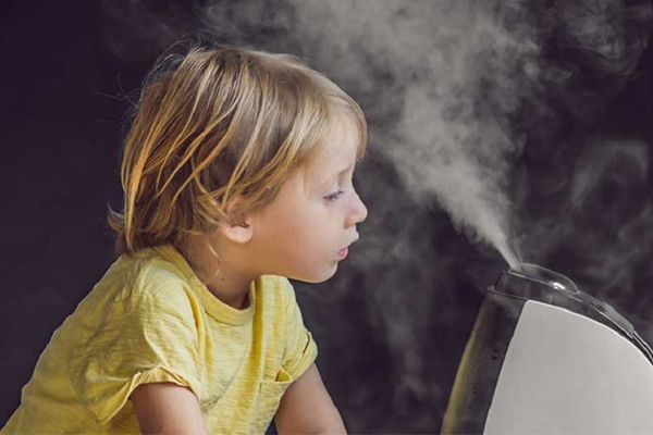 remedios caseros para la alergia nasal remedios caseros para la alergia nasal