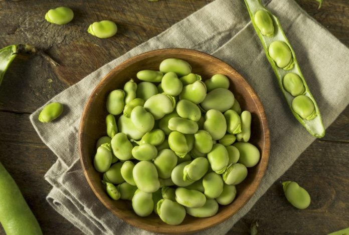 beneficios de las habas frescas