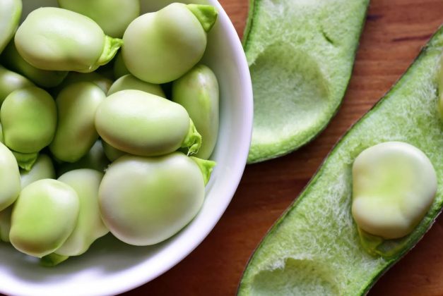 ⊛ 【 Propiedades y Beneficios de las Habas Frescas 】 ️