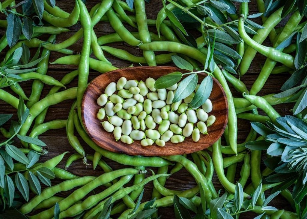 para que son buenas las habas crudas