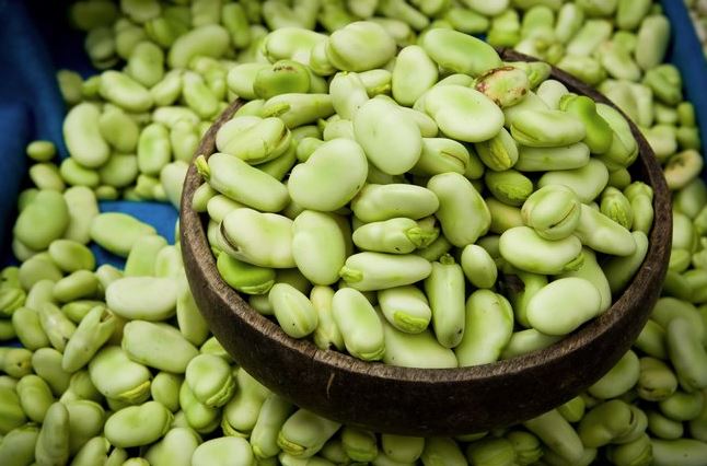 propiedades de las habas frescas