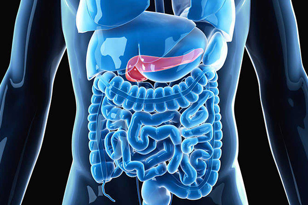 azafran propiedades curativas azafran propiedades curativas