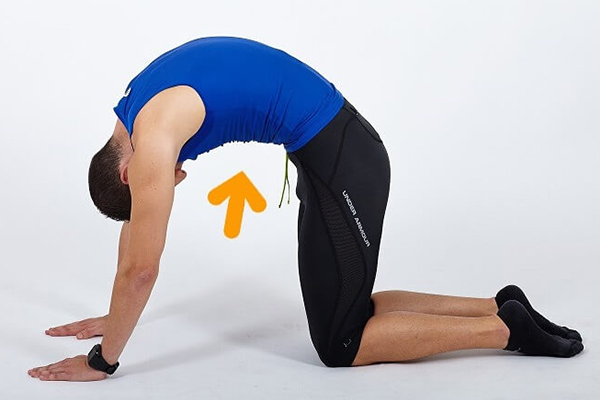 movilidad articular tronco movilidad articular tronco