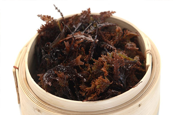 beneficios de los superalimentos beneficios de los superalimentos